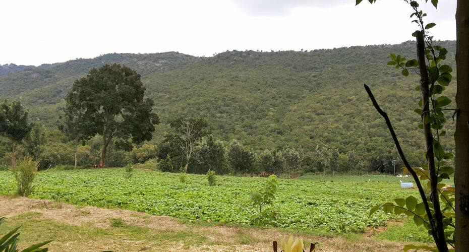 Mavallam Farms & Resorts, Erode 5
